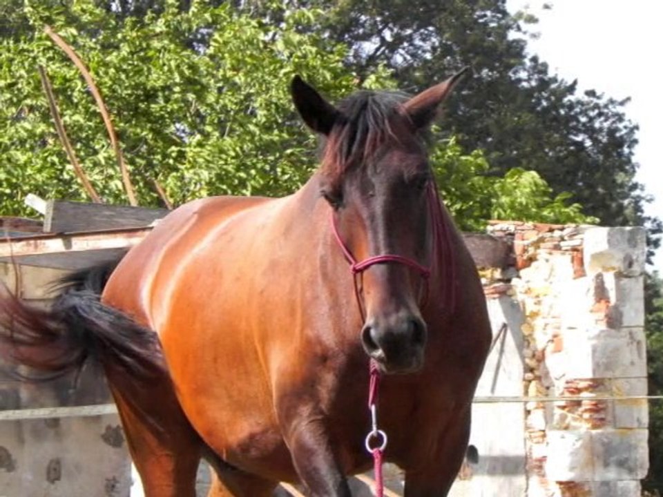 Happy Birthday Elodie