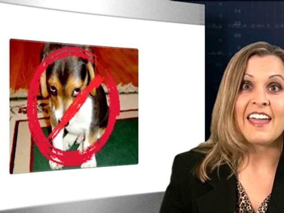 Bankruptcy Lawyers in San Diego California Video 01 "what i