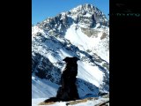 ski rando -  Fond Queyras