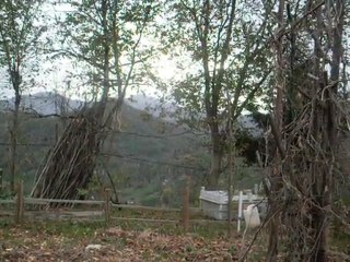 Yücehisar Köyü Tanıtım ve Seraların Görünümü