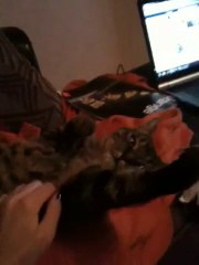 que c'est bon les gratouilles !