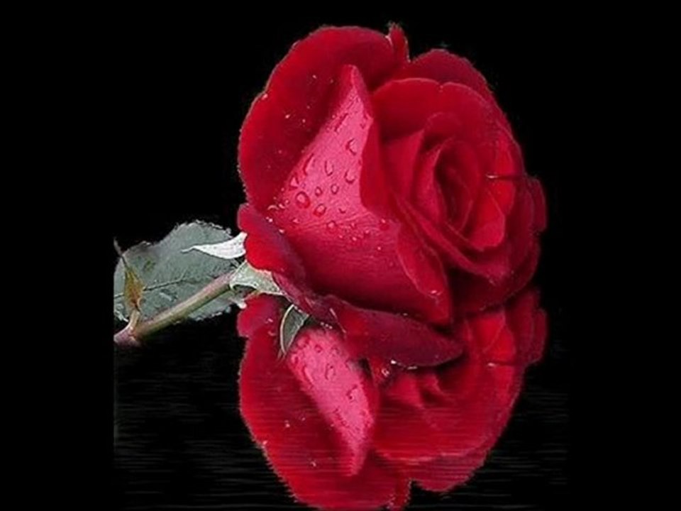 Kır Kalbimi ver elime - sagopa_"aak"