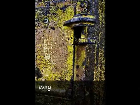 Prescott Photographer Bobbi Tucker-Events,Real Estate, Pets