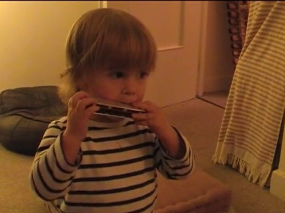 harmonica