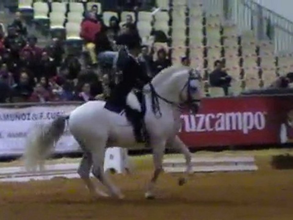 Elevage Acamel chevaux PRE - Kür GP Teresa SICAB 2010