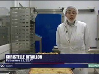 ESAT Valérie Bonafé sur France 3