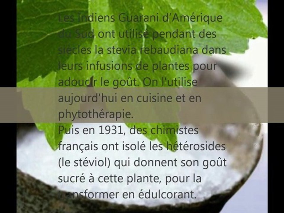 La stevia