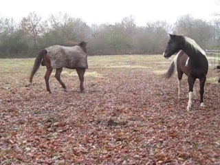 06.12.2010.Explication entre deux dominants