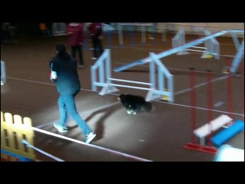 20101128 capitol agility virgule little black