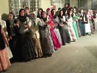 VANLILARDA HALAY ŞOW hazırlayan veysel çelik neslihan çelik