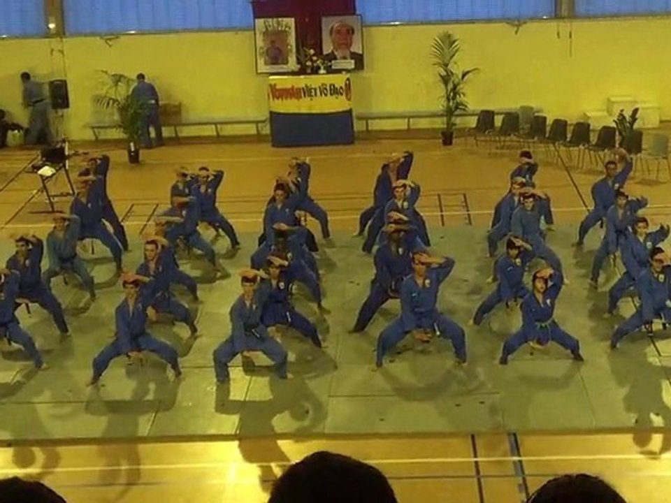 Vovinam Khai Mon Quyen synchronisé