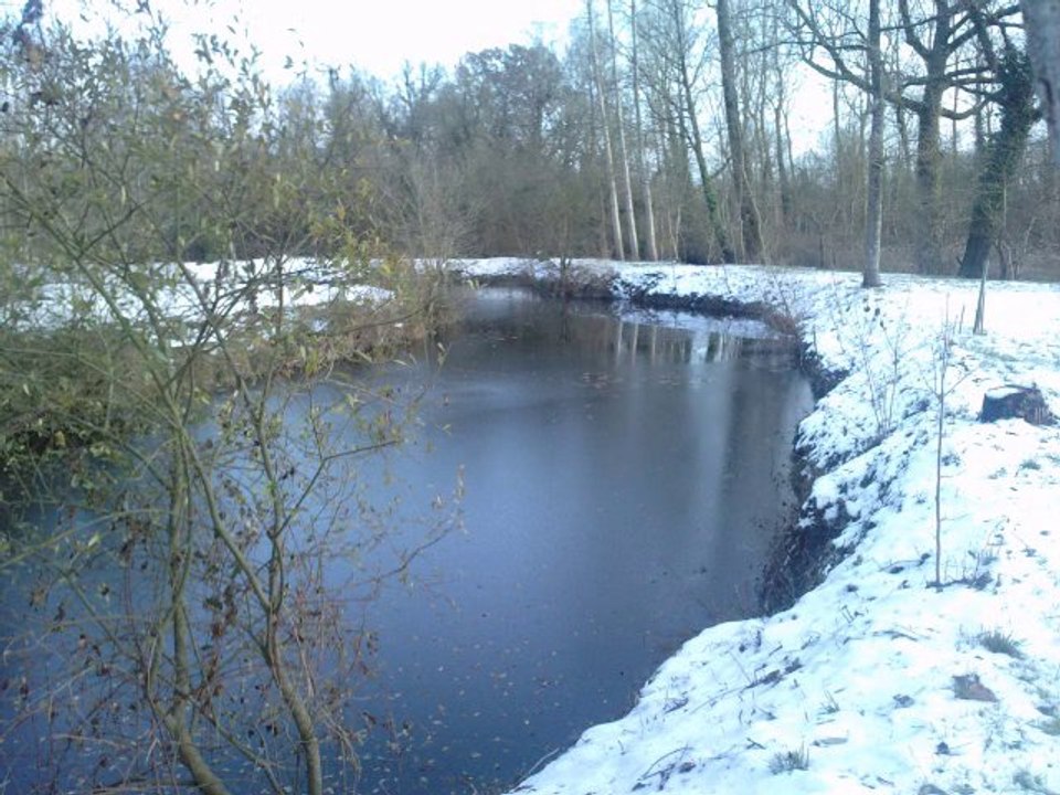 Neige