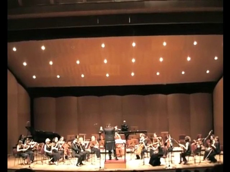Kaleidoscopes N.2 for 20 Solo strings, piano and Marimba by