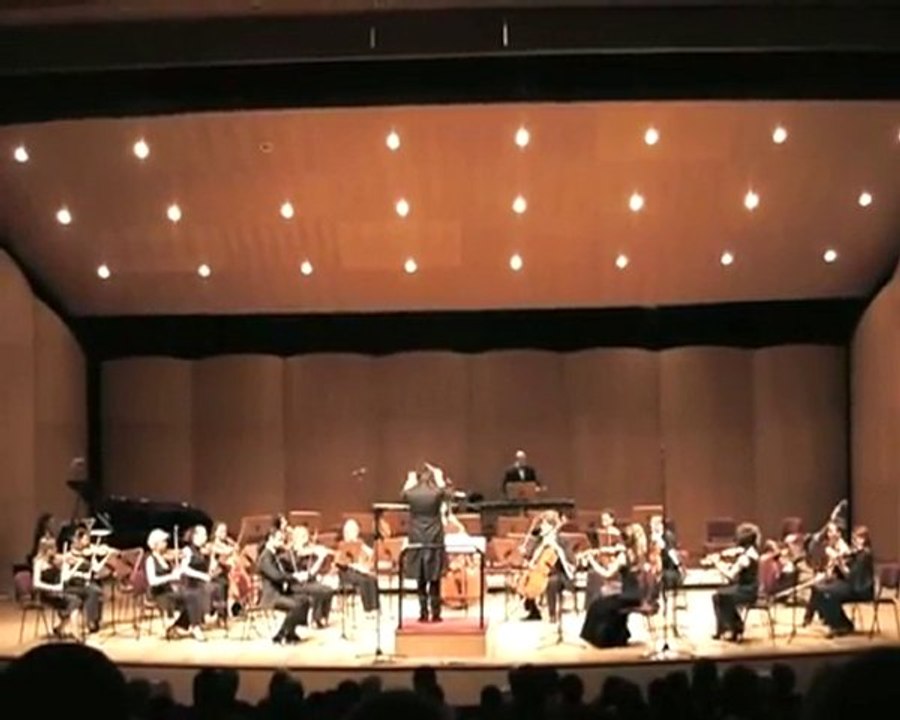 Kaleidoscopes N.2 for 20 Solo strings, piano and Marimba by