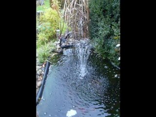 Mój urlop,Brocken,Mansfeld,Miasto Marcina Lutera.