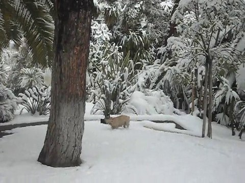 Sous la neige! Arc d'or - Hiver 2009-10