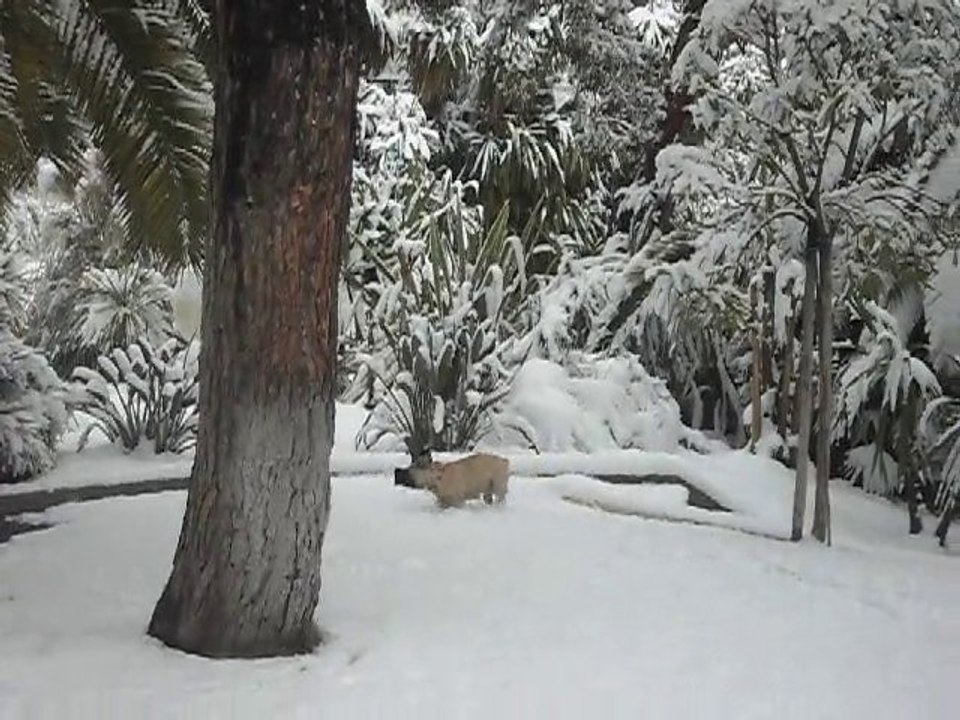 Sous la neige! Arc d'or - Hiver 2009-10