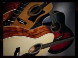 Acoustic Guitars Long Island. Great Selection Of Taylors Su