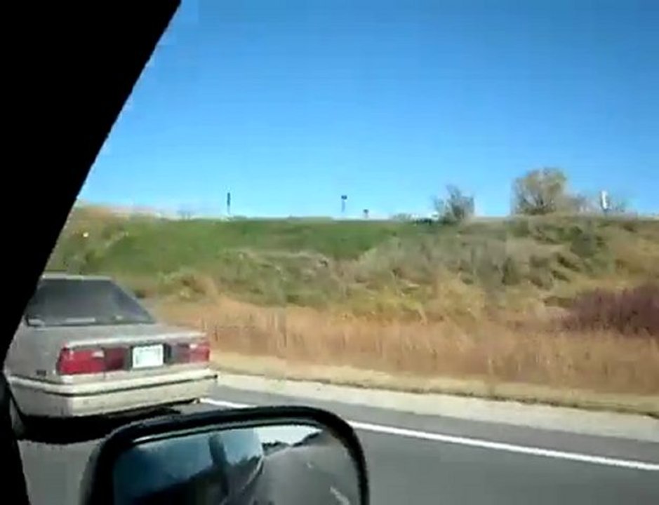 Horse in a Car