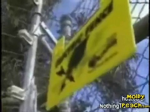 Reporter Touches a 6000 volt Fence