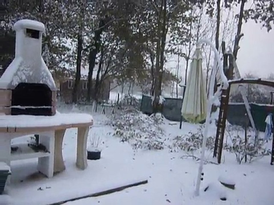 Mon chien Kermit dans la neige t