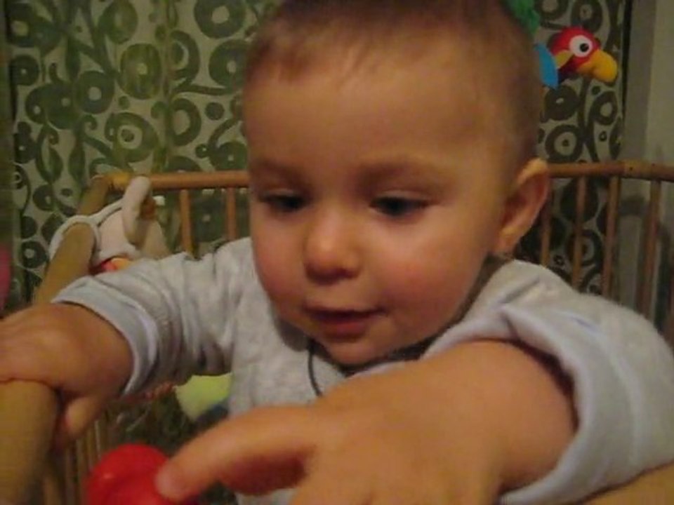 MVI_0002 novembre 2010