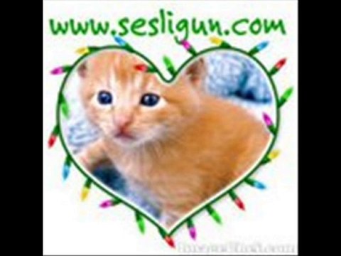 WWW.SESLiGUN.COM SESLI CHAT SOHBET SEVIYELİ AİLE SİTESİ