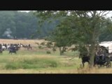 Gettysburg Civil War Reenactment.  John Reynolds commands