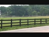 Gettysburg Civil War Reenactment: Confederate troops arrive