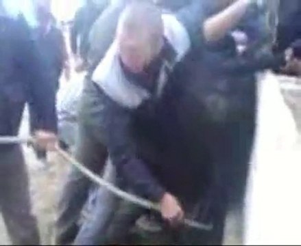 Bistournage - Journée Lou Pitchoun