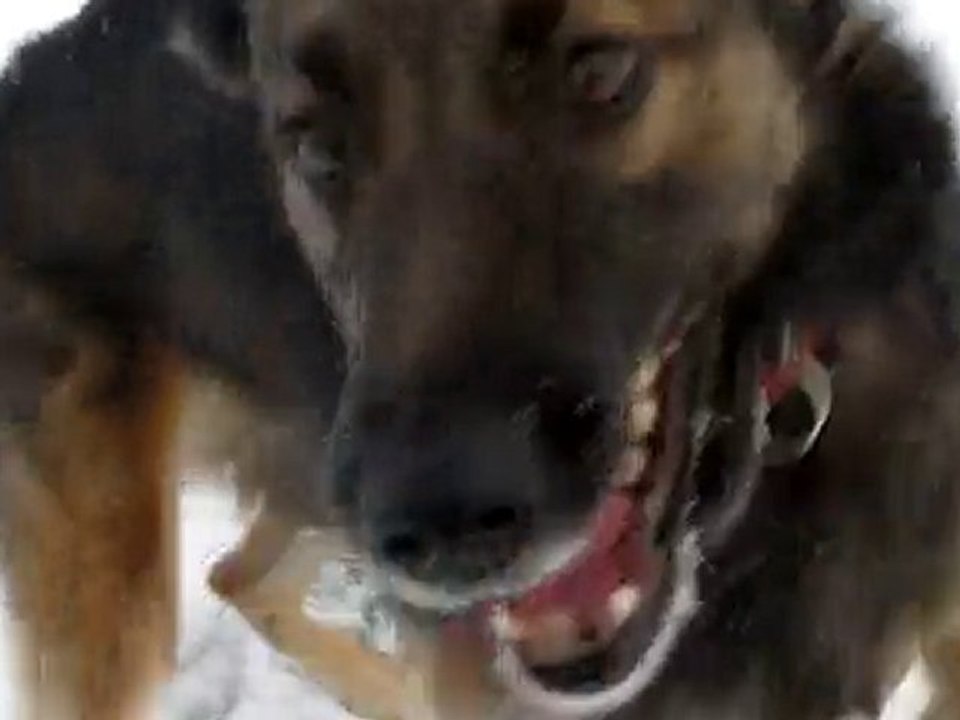 zulie
