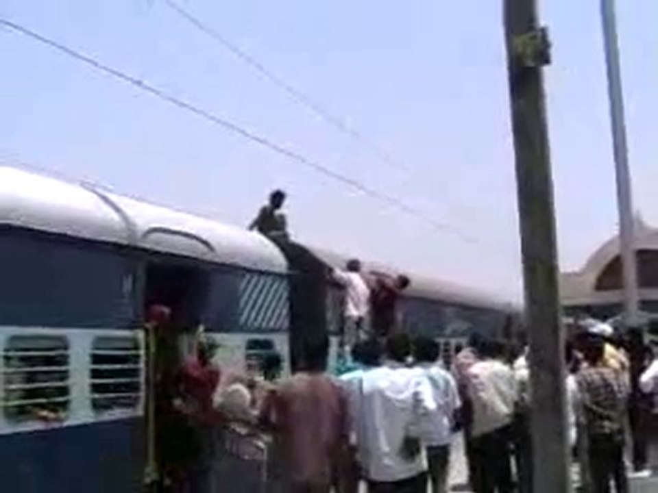 Indian fool