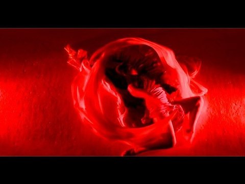 Palyrria - Pyrovasia 1208 (new video)