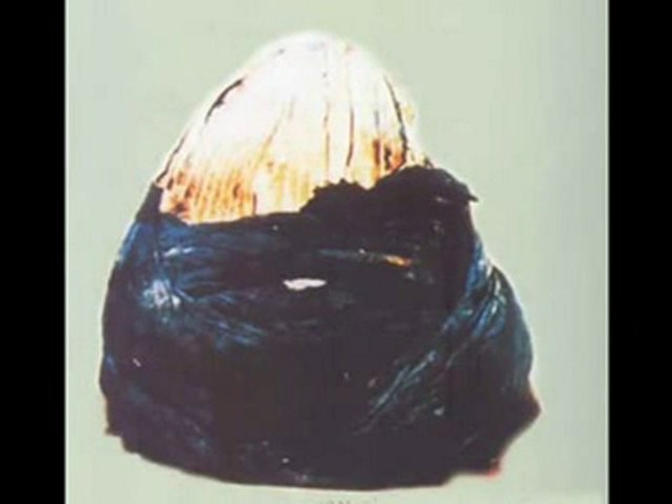 Nedim varol, HZ MUHAMMED S A V  MUKADDES Eşyaları