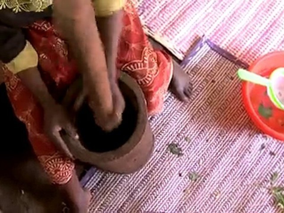 Moringa leaf powder production