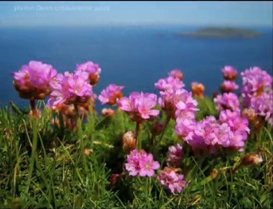 Photos from Ireland