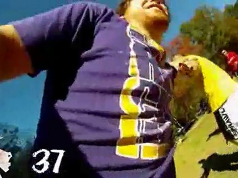 The Horse Attempts World Record For Nutshots