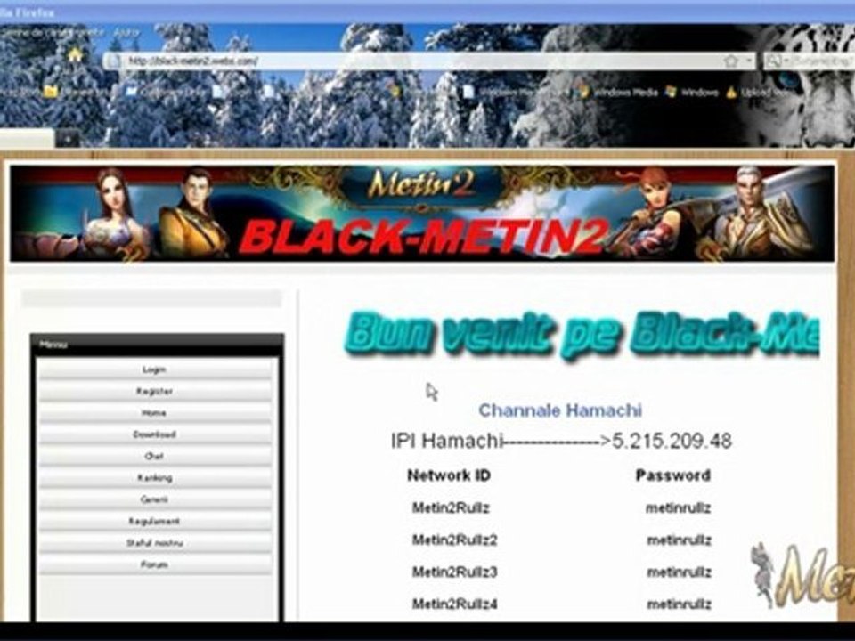 utilizarea programului Hamachi