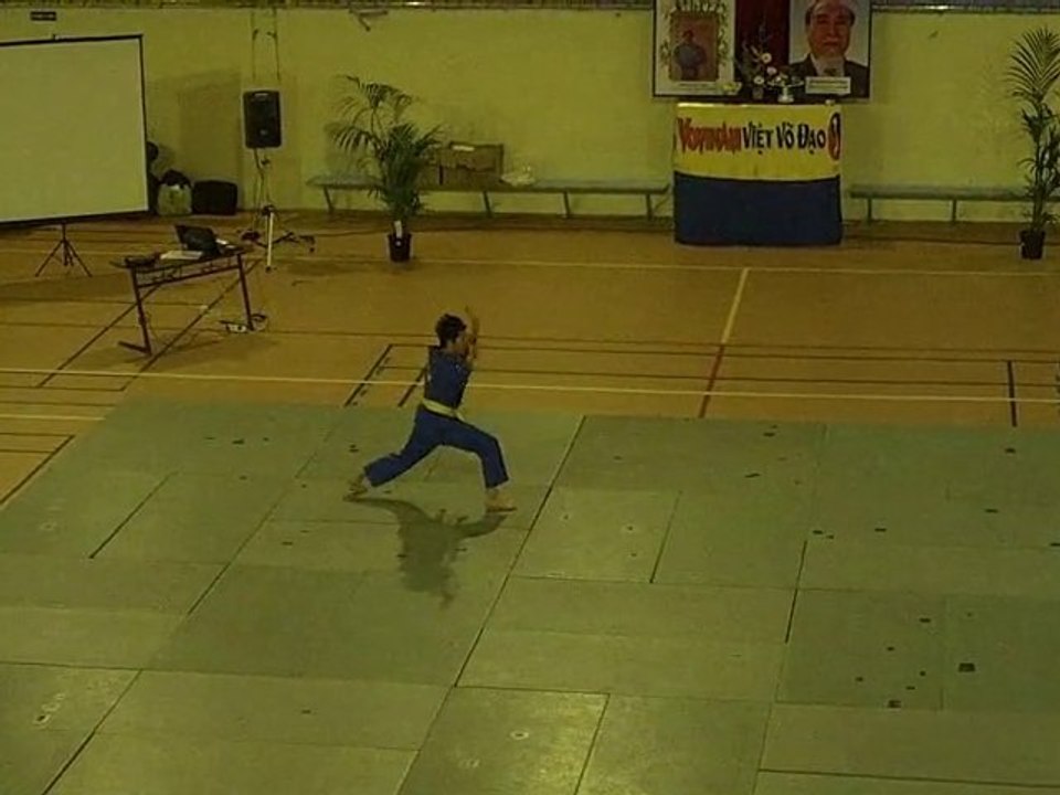 Vovinam Long Ho Quyen