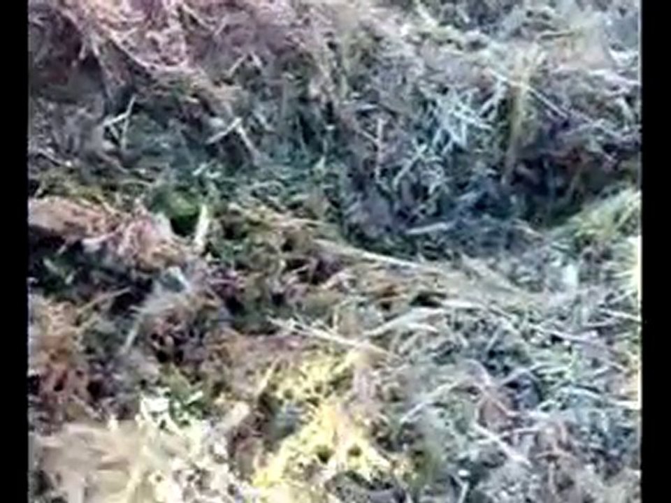 ÖnalMakine Dan yeni icat