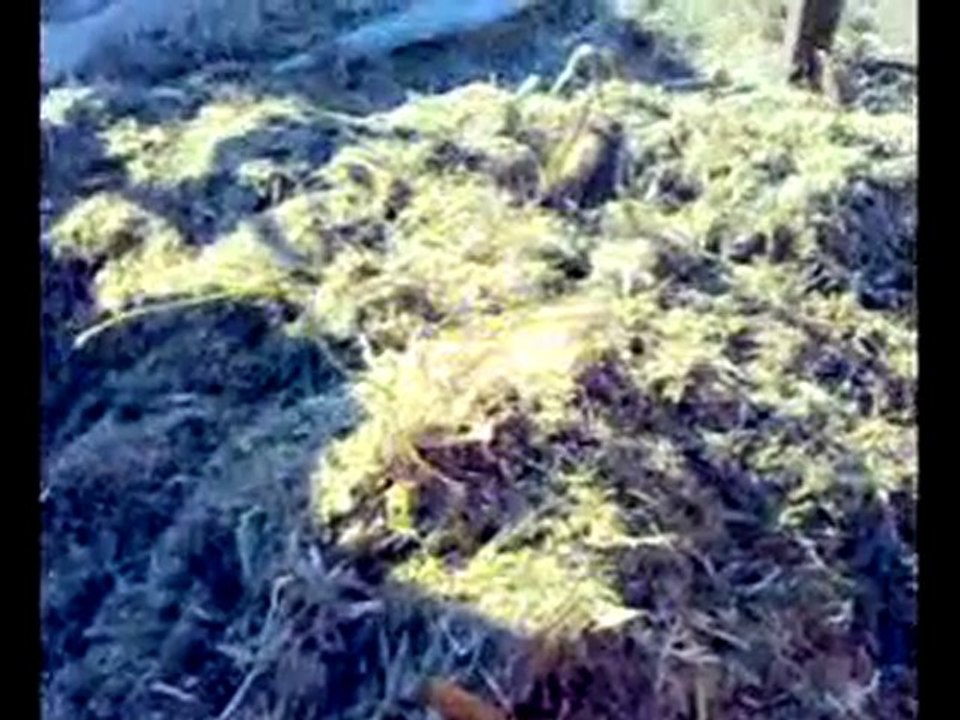 ÖnalMakine çiftçimize kazandırıyor