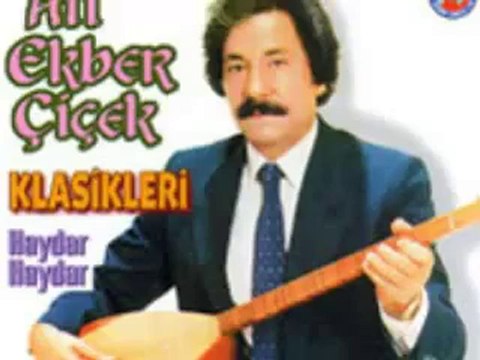 Ali Ekber Çiçek - Deli Gönül Hangi Dala Konarsın