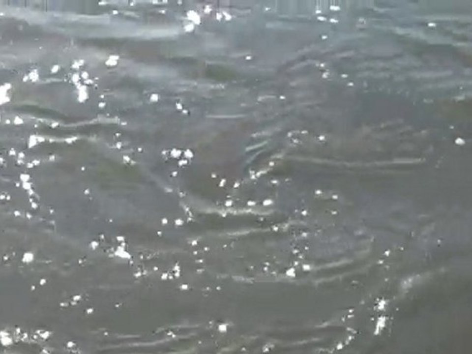 MLM Training_ Has your boat come in_