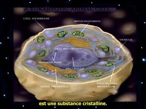 Beyond the cutting edge - David Icke A7 VOSTFR