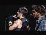 Red Hot Chili Peppers - Californication - Konser Kaydi