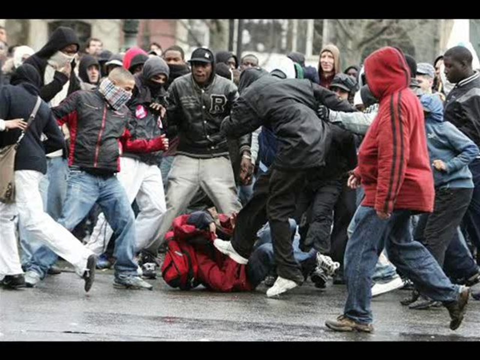 Freestyle M.A.V Diderot Hall Star 93 Street Flow