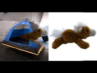 Sample Work of Clipping Path Specialist.wmv