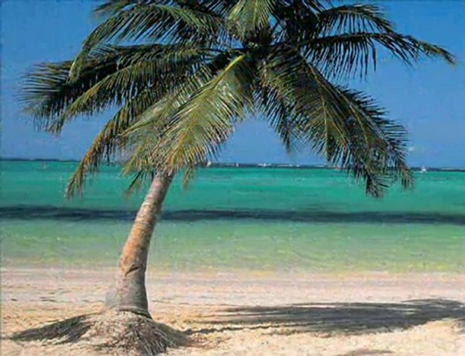 Gökhan Tepe yaz gecesi