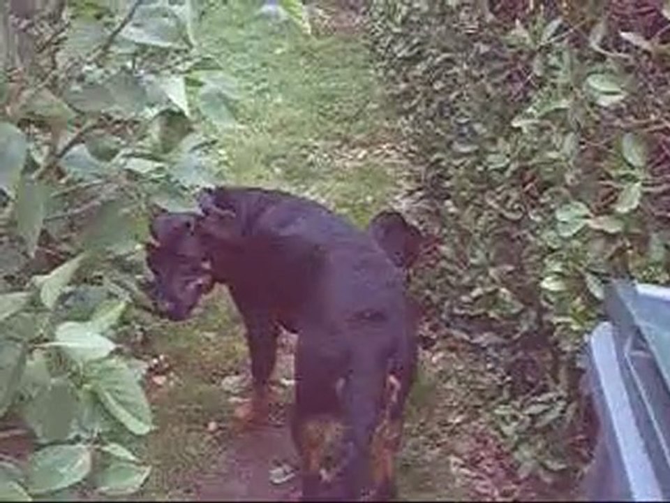 bounty et véga le 25 mai 2006