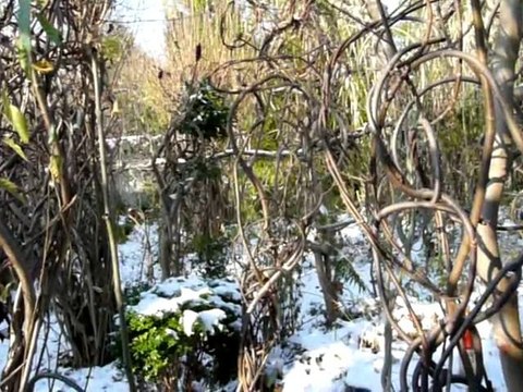 Sculptures-Vivantes en Métamorphoses-Automnales-neigeuses